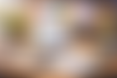 Master in Human Resource Management and Organizational Psychology