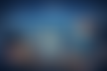 EMBA in Platform Business Models and Digital Ecosystems