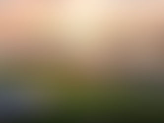فتح آفاق المستقبل: فرص استثمارية هائلة وعوائد واعدة في مقاطعة توركانا