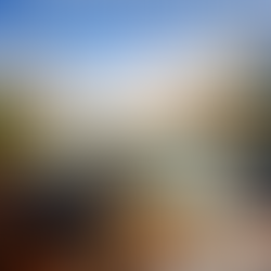 بكالوريوس في إدارة الأعمال الفندقية العالمية (التعليم التنفيذي)