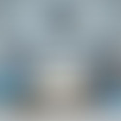 البكالوريوس التنفيذي في المحاسبة والرقابة المالية