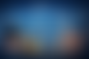 EMBA in Risk, Compliance and Legal