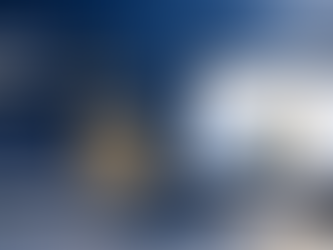 Rankings, Visibility, and Trust in the Distance-Learning Era