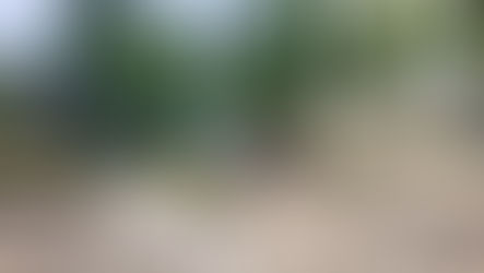 Dissimulation des réseaux "rue des Bidaudes", "Grande Rue" et "Rue Sous la Velle" (NANTOUX – 21)