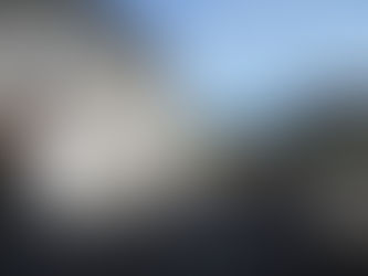 AVENUE DU PONT DE L’ÎLE (MIRIBEL – 01)