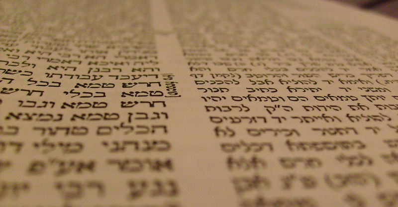 AI Discovers "Ipcha Mistabra" (Devil's Advocate): Why Machines Started Arguing with Themselves