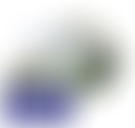 どのクレイにもある共通の効果とは?