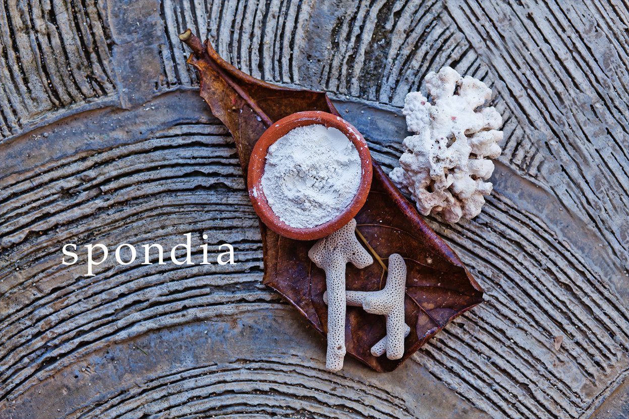 仕入れ、販売価格一覧表 | エスピキューレ