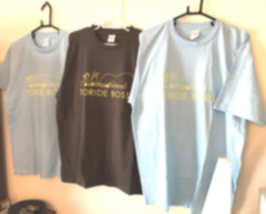 とりでボッサTシャツ 水色　M