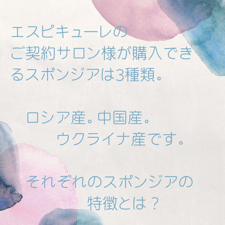 3つのスポンジアパウダー