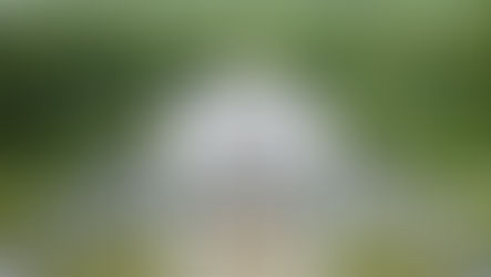 Fique milionário com R$100 por mês!!