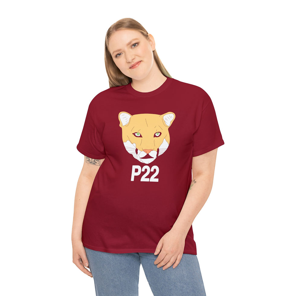 Thumbnail: P22