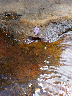 Amatista sobre el agua.jpg