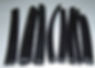 Seal Strips