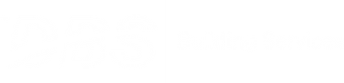 Dbs-Roman.png