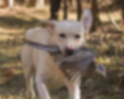 !cid_59E4D8E9-4409-4505-BC05-B07DC7F5A50
