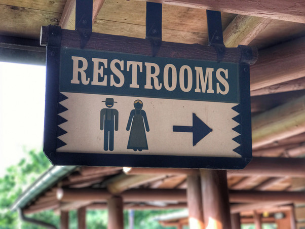 The Wildest Flush in the Wilderness!