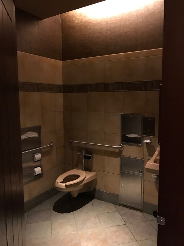 ADA-Compliant Toilet, Sanaa
