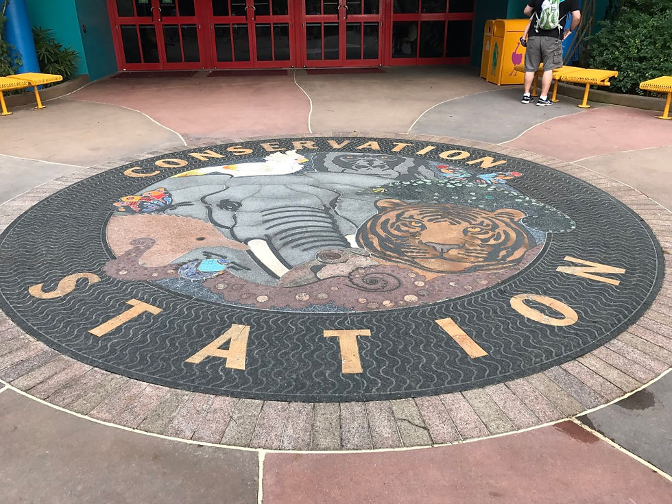 Stone Mosaic at Conservation Station