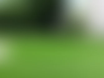 Kessel-Lo - Vernieuwen van gazon in kunstgras