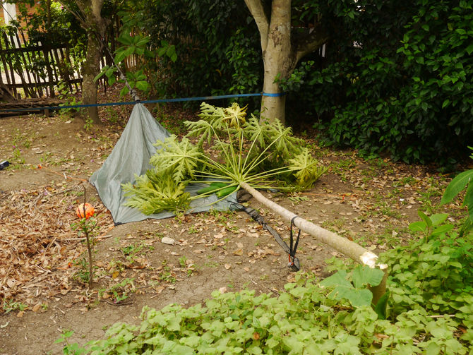 Ecuador (Part 1)