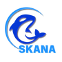 xxxSkana Blue (2)_edited.png