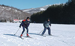 bbsaffron Mont Tremblant 4 BR Vacation Home/Rental, cottage