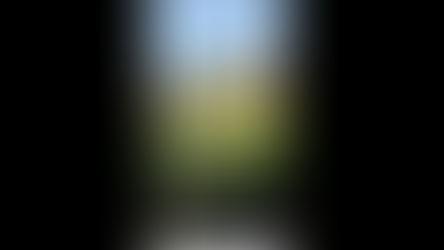 No Justice in Springfield, Allegations of Police Officer Misconduct