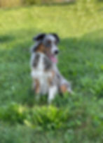 Covee