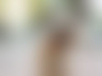 Best Dog Walks in Hastings and Prince Edward