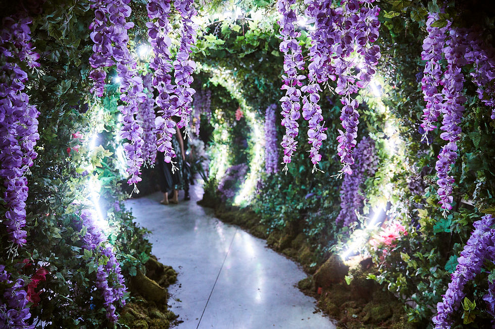 Atmosphere1.copy copy.jpeg