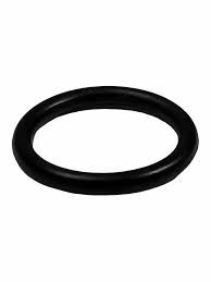 Pentair O-Ring for Drain Plug