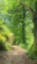 20250605_123836(1).heic
