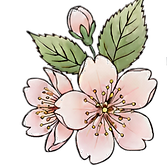 Sakaura Pathways counselling