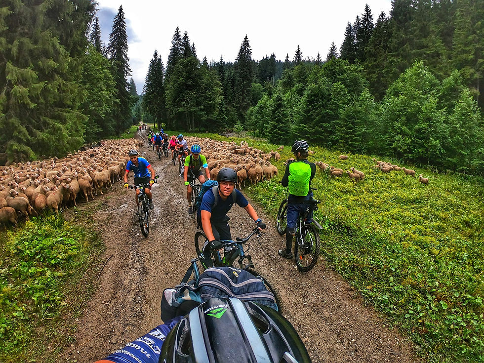 Aventura cu bicicleta prin Valea Azugii pana in Sacele
