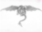 Flying Dragon(chest print)