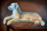 Scor (pet portrait 2)
