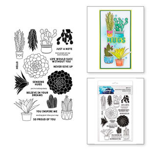 HUR80756-succulents-Combo.jpg