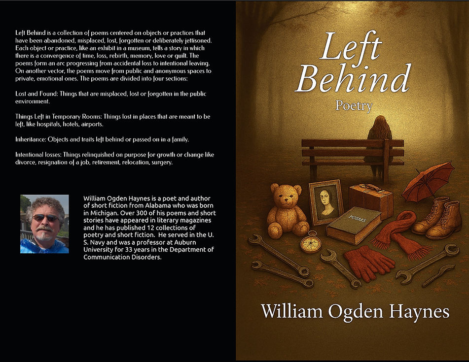 left behind final cover 5.jpg