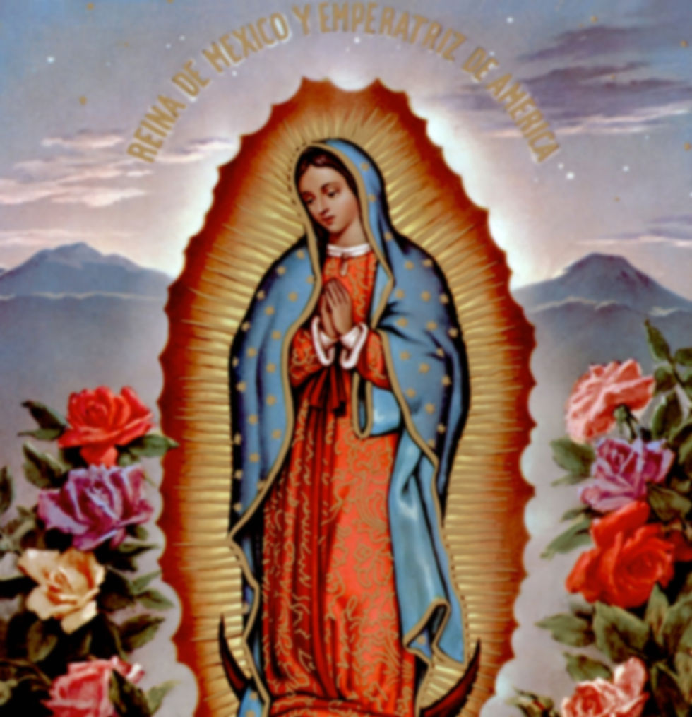 lady of guadalupe.jpg