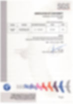 SGS E0 Certificate-02.jpg