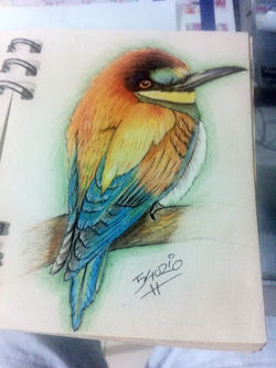 one little bird