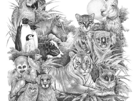 Carnival Of The Animals Poems