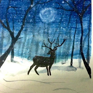 Forest Wildlife