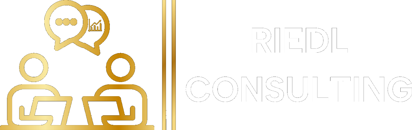 RIEDL-CONSULTING-LOGO
