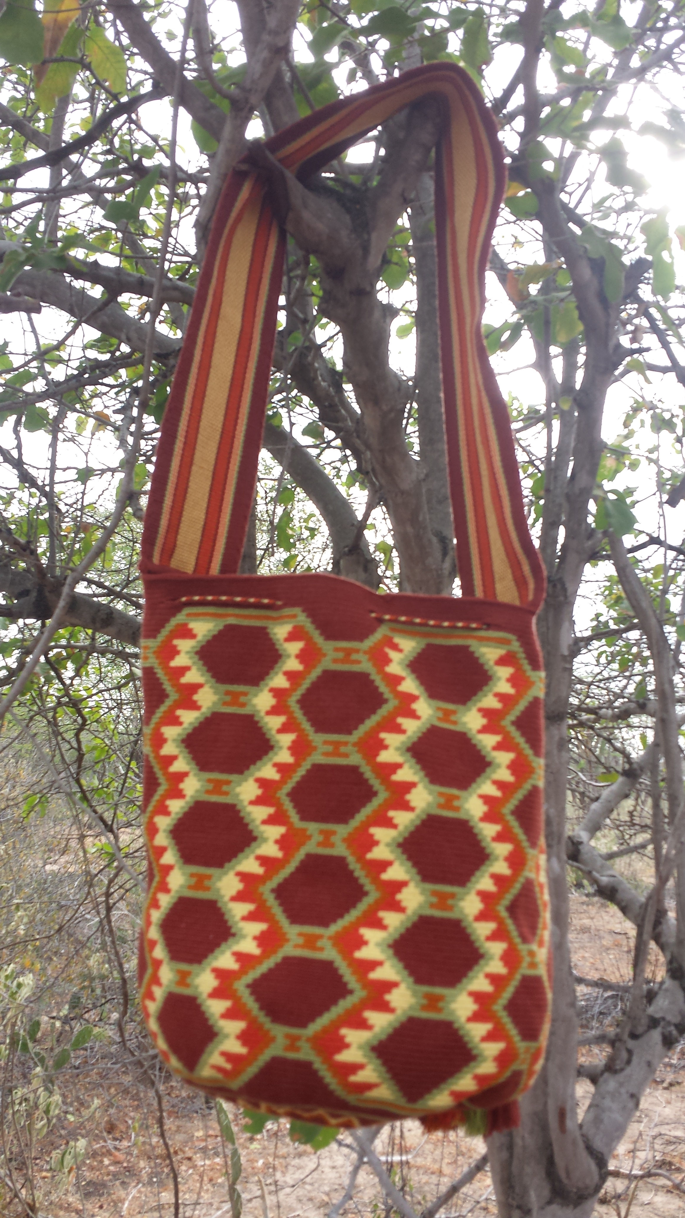 KATTOU Molokonoutayaa