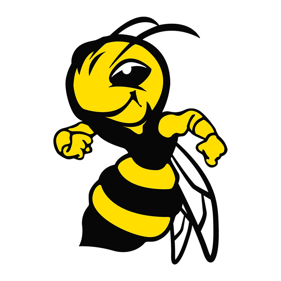 OSA_maskot_farebny_edited.png