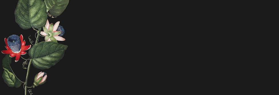 Página web final-01.png