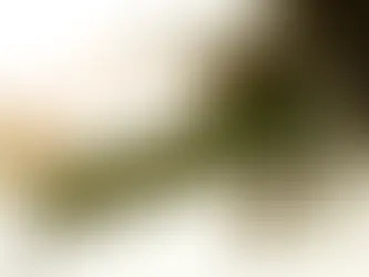 Sunset Boulevard Memories