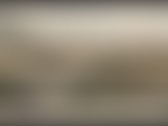 William Hill’s New York